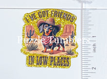 Load image into Gallery viewer, Acrylic Flat Back: I've Got Friends in Low Places