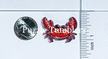 Load image into Gallery viewer, Acrylic Focals: Animals (Variety)