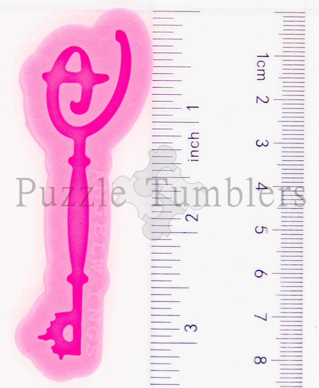 NEW - MAGIC PLACE DOOR KEY- PINK Mold